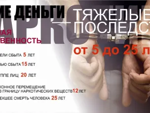 Осторожно, сеть! Ловушка "легких денег"