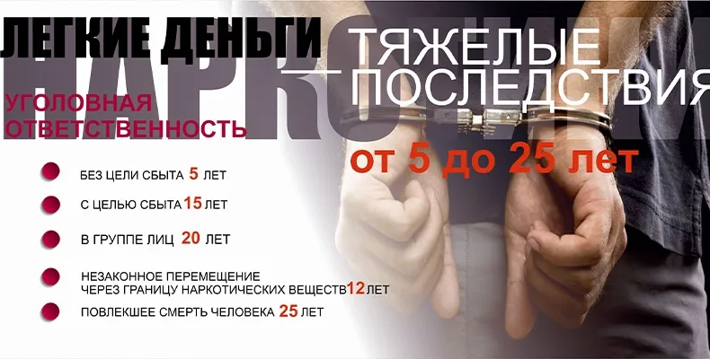 Осторожно, сеть! Ловушка "легких денег"